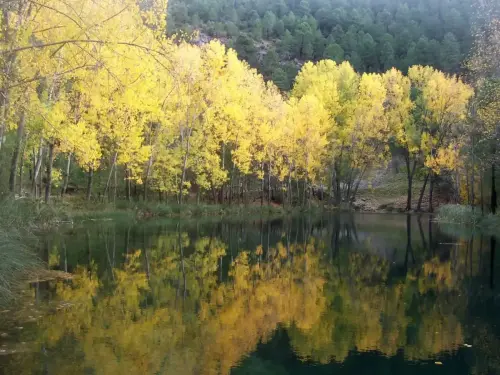 7.2-Sierra-de-Alcaraz-Cotillas02-Arroyofrio