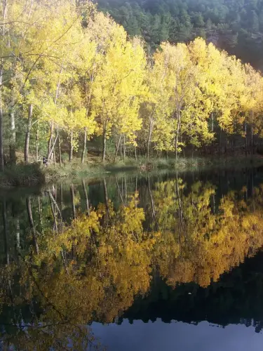 7.2-Sierra-de-Alcaraz-Cotillas03-Arroyofrio