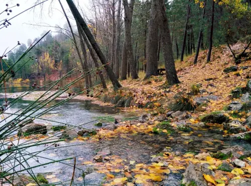 7.2-Sierra-de-Alcaraz-Cotillas04-Arroyofrio