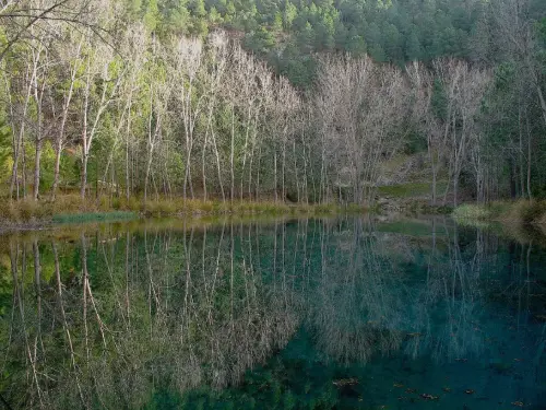 7.2-Sierra-de-Alcaraz-Cotillas11-Arroyofrio