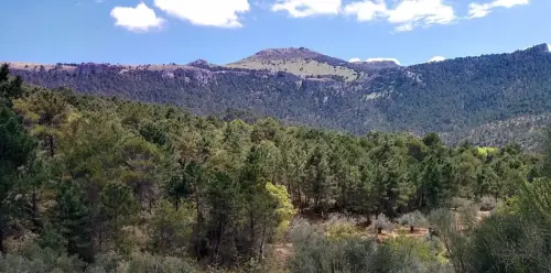 7.2-Sierra-de-Alcaraz-Cotillas15-La-Lastra