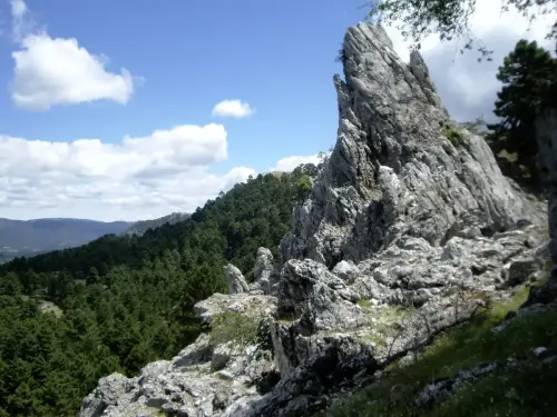 7.2-Sierra-de-Alcaraz-Cotillas17-El-Sorbeor