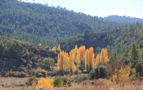 7.2-Sierra-de-Alcaraz-Penascosa01-Arteaga-de-Abajo