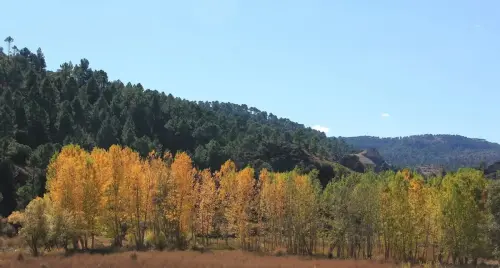 7.2-Sierra-de-Alcaraz-Penascosa02-Valle-del-arroyo-de-Las-Puentecillas