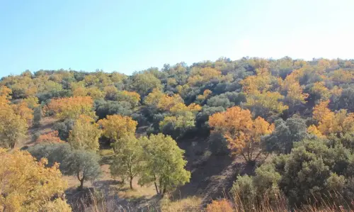 7.2-Sierra-de-Alcaraz-Penascosa04