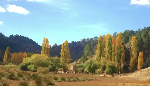 7.2-Sierra-de-Alcaraz-Penascosa10-Arteaga-de-Abajo