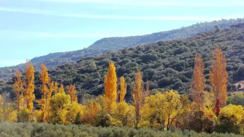 7.2-Sierra-de-Alcaraz-Salobre04-Por-Reolid