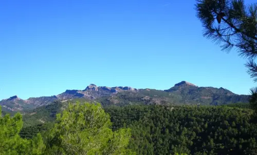 7.2-Sierra-de-Alcaraz-Salobre06