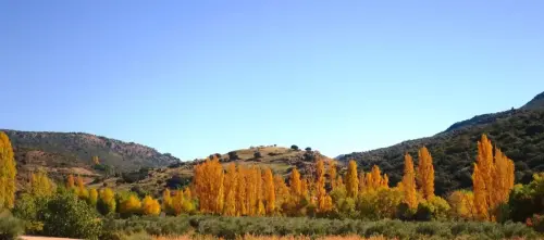7.2-Sierra-de-Alcaraz-Salobre07