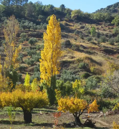 7.2-Sierra-de-Alcaraz-Salobre08