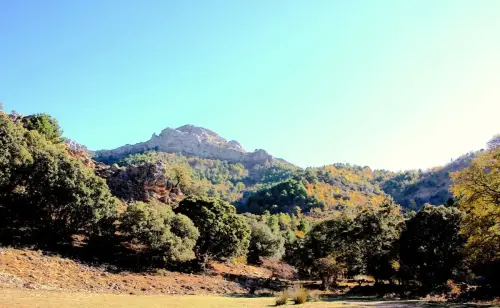 7.2-Sierra-de-Alcaraz-Vianos05