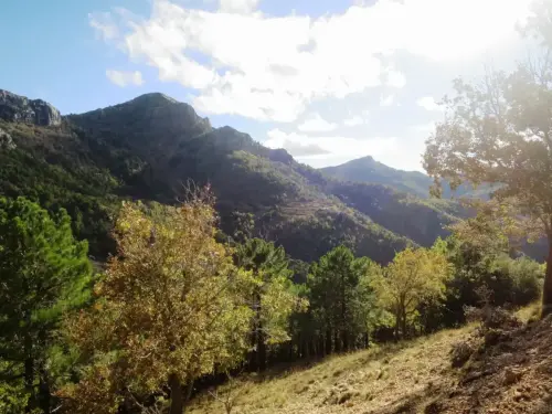 7.2-Sierra-de-Alcaraz-Vianos10