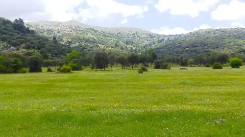 7.2-Sierra-de-Alcaraz-Vianos11