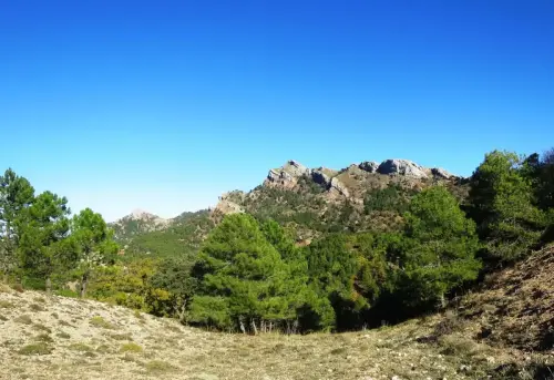 7.2-Sierra-de-Alcaraz-Vianos13-La-Almenarilla