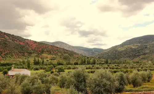 7.2-Sierra-de-Alcaraz-Villapalacios02-Rio-de-la-Mesta