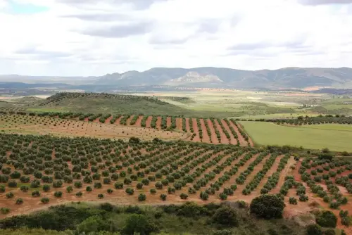 7.2-Sierra-de-Alcaraz-Villapalacios08