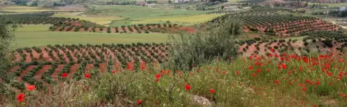 7.2-Sierra-de-Alcaraz-Villapalacios12