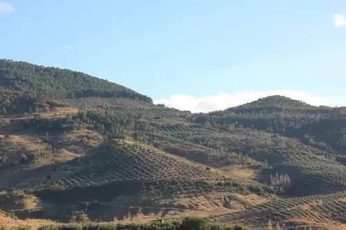 7.2-Sierra-de-Alcaraz-Villapalacios14