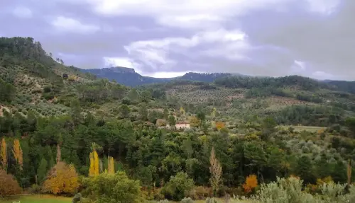 7.2-Sierra-de-Alcaraz-Villaverde-de-Guadalimar14-Los-Tribaldos