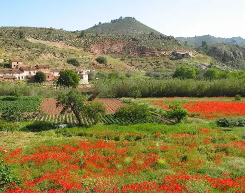 7.3-Sierra-de-Segura-Ayna07-La-Alcadima