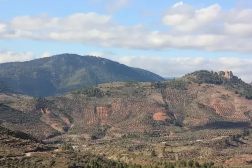 7.3-Sierra-de-Segura-Bogarra08-Pena-del-aguila