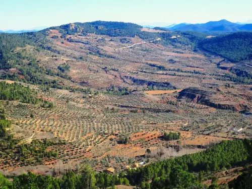 7.3-Sierra-de-Segura-Bogarra09