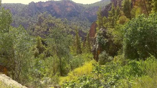 7.3-Sierra-de-Segura-Bogarra10