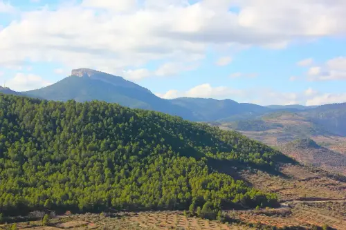 7.3-Sierra-de-Segura-Bogarra12