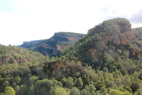 7.3-Sierra-de-Segura-Elche-de-la-Sierra08-La-Longuera