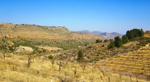 7.3-Sierra-de-Segura-Ferez10