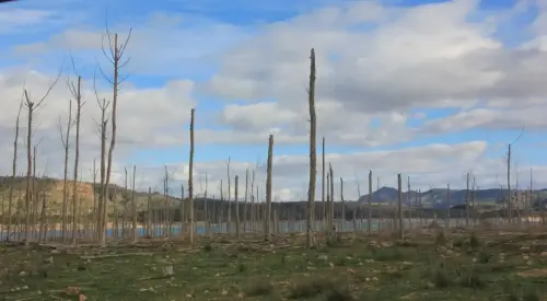 7.3-Sierra-de-Segura-Ferez20-Pantano-del-Cenajo-en-La-Alcantarilla