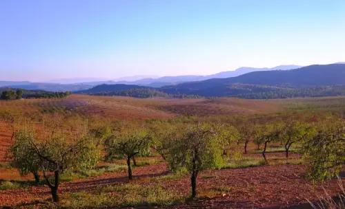 7.3-Sierra-de-Segura-Lietor13