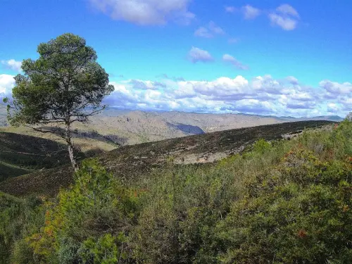 7.3-Sierra-de-Segura-Lietor14