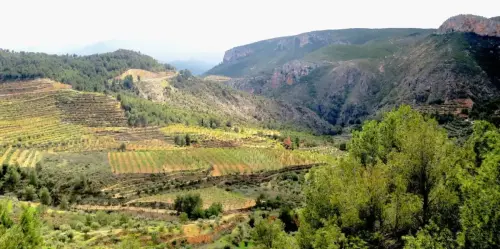 7.3-Sierra-de-Segura-Molinicos07-El-Morcillar