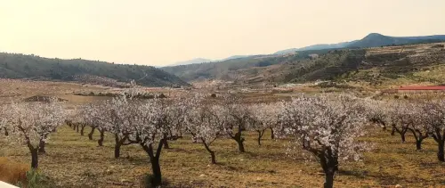 7.3-Sierra-de-Segura-Molinicos09