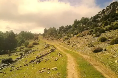 7.3-Sierra-de-Segura-Nerpio05-Camino-al-Tamaral