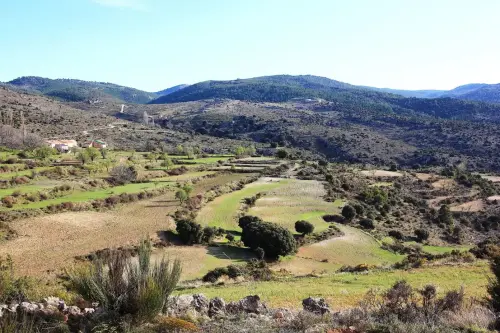 7.3-Sierra-de-Segura-Nerpio16-Jutia