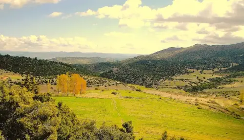 7.3-Sierra-de-Segura-Nerpio17