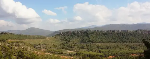 7.3-Sierra-de-Segura-Nerpio20-Las-Bojadillas