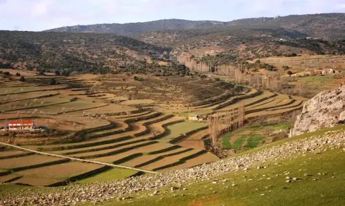 7.3-Sierra-de-Segura-Nerpio22-Camino-a-Las-Cabras