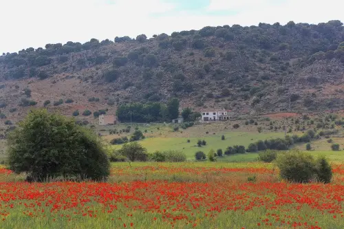 7.3-Sierra-de-Segura-Nerpio24-Camino-de-Las-Canadas