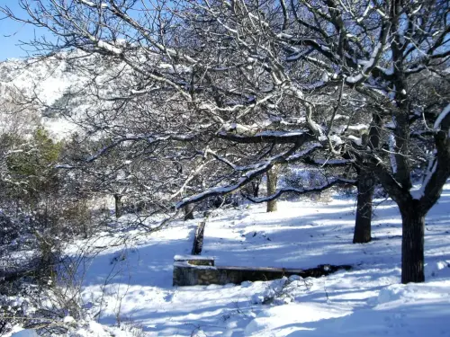 7.3-Sierra-de-Segura-Nerpio40-Fuente-de-La-Carnina