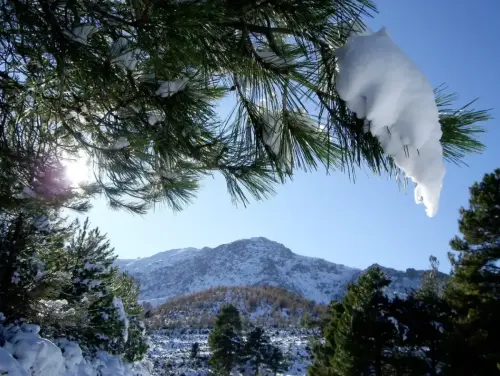 7.3-Sierra-de-Segura-Nerpio43-Sierra-de-Las-Cabras