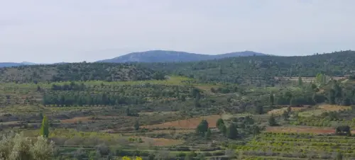 7.3-Sierra-de-Segura-Nerpio45-Yetas