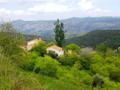 7.3-Sierra-de-Segura-Nerpio47-Yetas