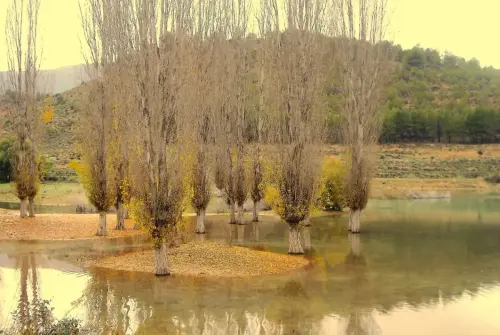 7.3-Sierra-de-Segura-Nerpio49