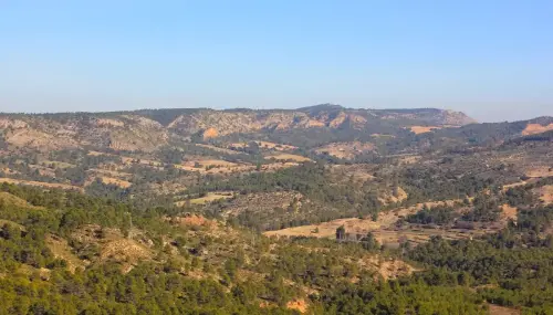 7.3-Sierra-de-Segura-Nerpio50