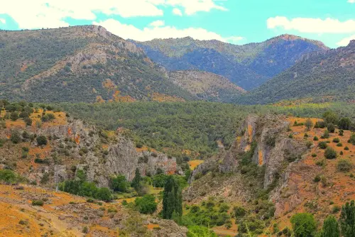 7.3-Sierra-de-Segura-Nerpio51-Molino-de-las-Fuentes