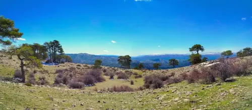 7.3-Sierra-de-Segura-Paterna-del-Madera01-Calar-de-la-Osera