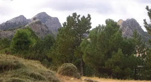 7.3-Sierra-de-Segura-Paterna-del-Madera09-Las-Almenaras